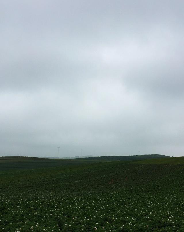 我看到的草原天路，雨天一片茫然