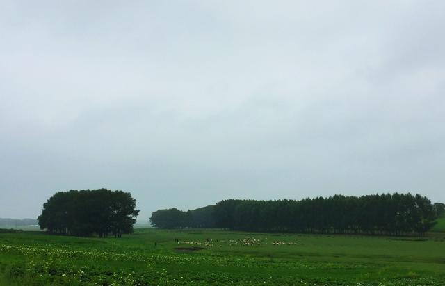 我看到的草原天路，雨天一片茫然