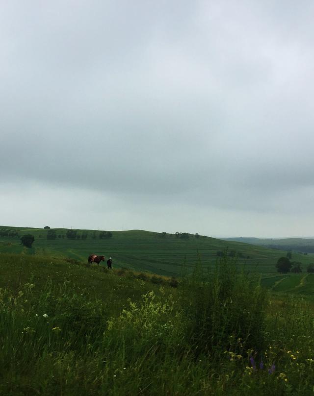 我看到的草原天路，雨天一片茫然