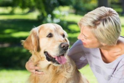 ​黑松狮犬舍，黑松狮幼犬多少钱一只