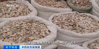 ​“食白季”到来！这种药材，价格暴涨超200%！啥情况？