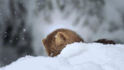 ​农夫山泉的新广告，让全世界都惊艳了