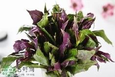 血皮菜有毒吗?血皮菜真的致癌吗?